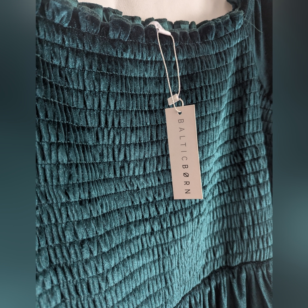 Baltic Born Vivaldi Smocked Velvet Midi Dress - Picture 6 of 9